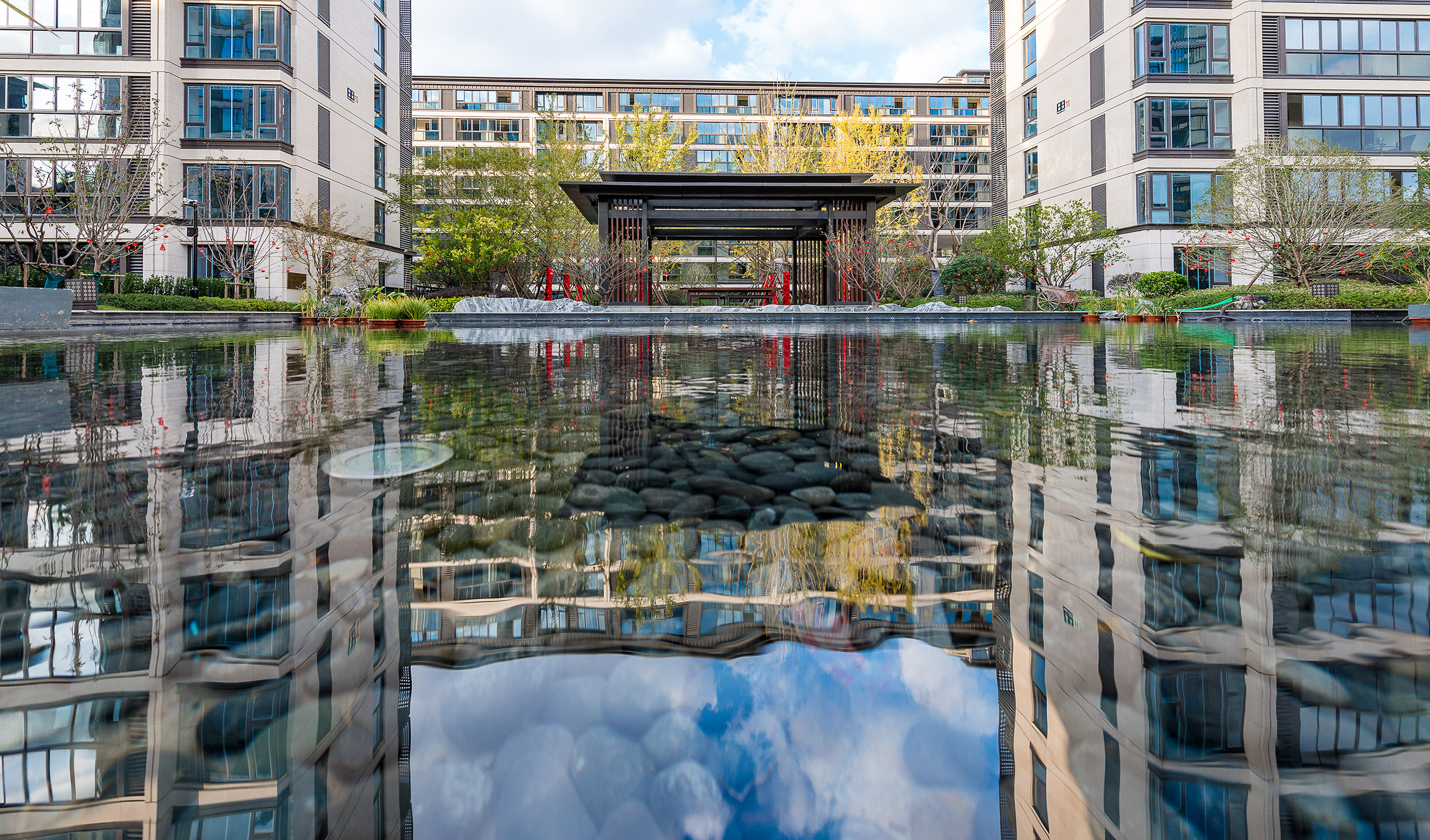 2 春波绿意，惊鸿照影.jpg